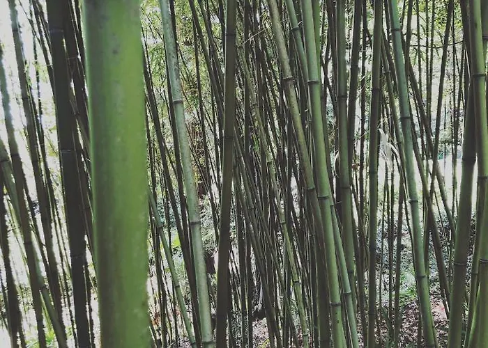 アパート Mypalmassuite With Free Parking In